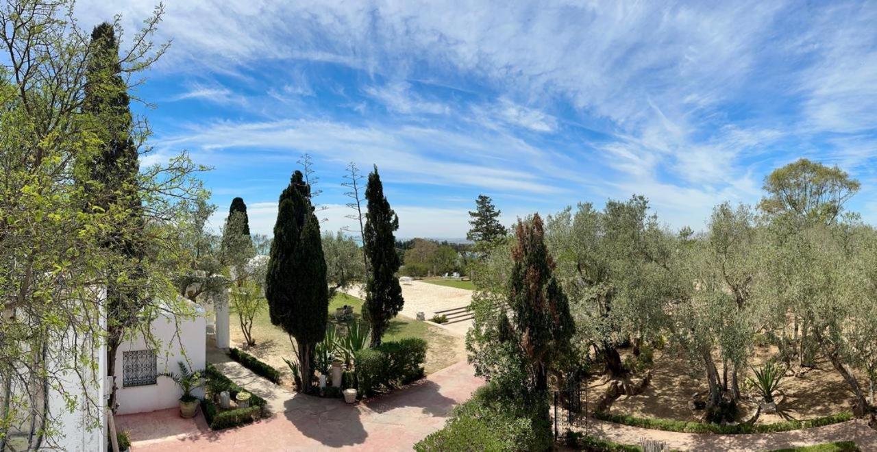 Si Brahim Studio Piscine, Sidi Bou Ali Eksteriør bilde